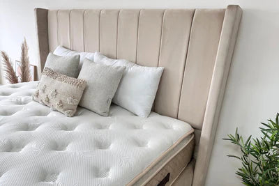 Lit Coffre TOKYO BEIGE - Velours